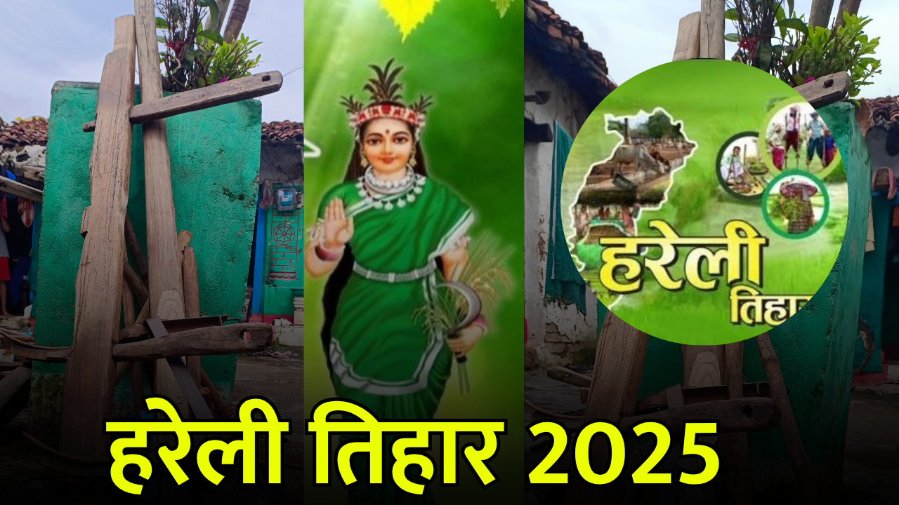Hareli Tihar 2025 : छत्तीसगढ़ में हरेली की धूम, किसान बोले- हमारे सांस्कृतिक विरासत का प्रतीक
